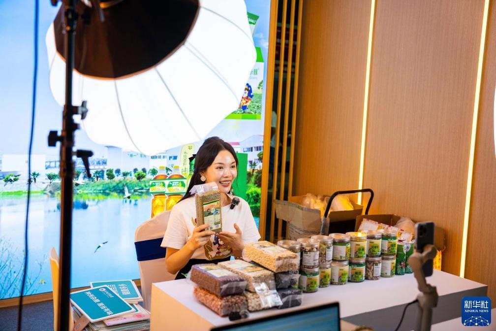白菜网送彩金您